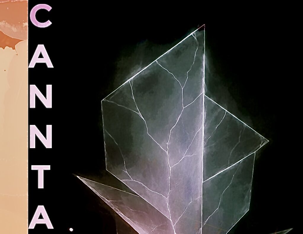  Cannta Music